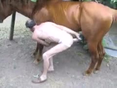 Horny middle-aged fellow undresses undressed at the ranch he works at and acquires screwed by hung horse 